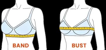 How to Measure Bra Size